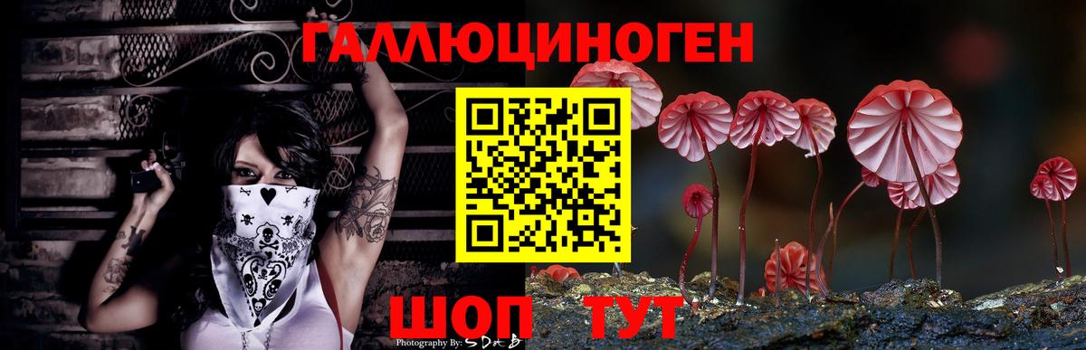 Галлюциногенные грибы Magic Shrooms Щёлково