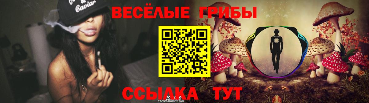 Щёлково  Псилоцибиновые грибы Cubensis  Вход с VPN 